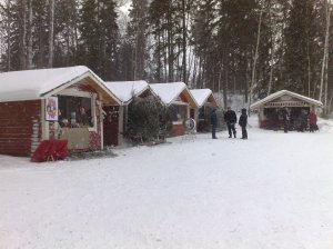 kuva/Foto: Villa Ylle