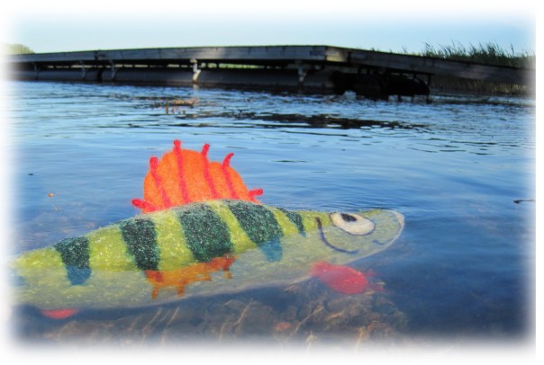 Algoth.abborre.villaylle